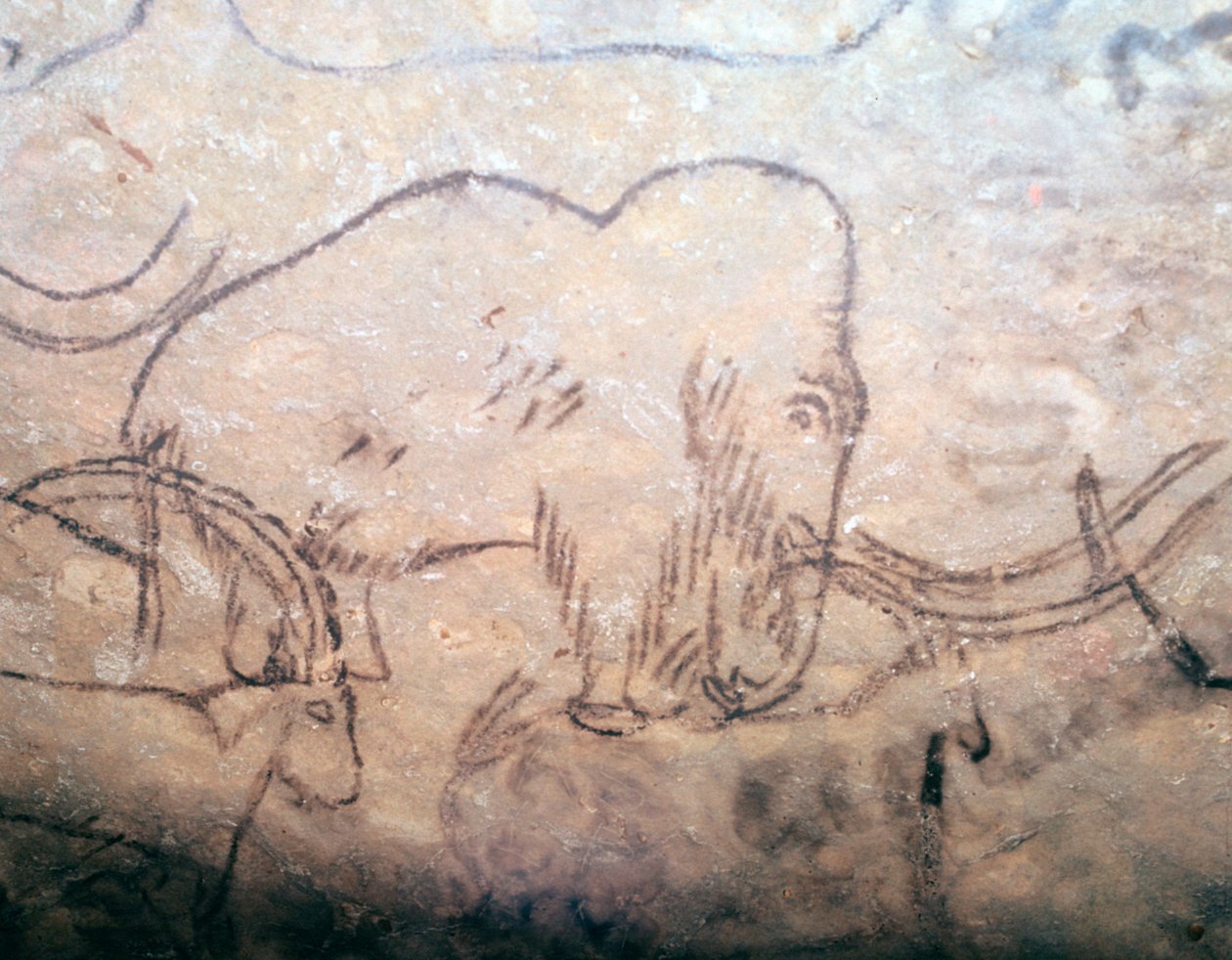Neolithische Höhlenmalerei von Mammut und Steinböcken von Unbekannt