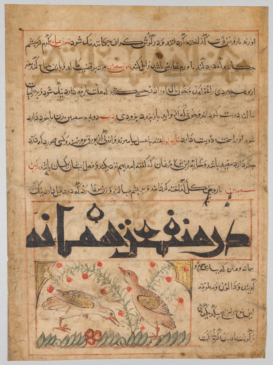 Über die Vorteile von Wachteln verso aus einem Manafi al-Hayawan..., ca. 1300 von Unbekannt