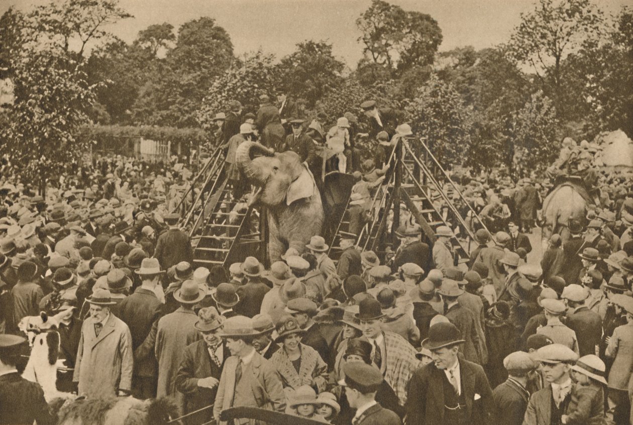 Eines der Zeichen unserer Zivilisation: Gut bestückte zoologische Gärten zur Freude der Neugierigen, ca. 193 von Unbekannt