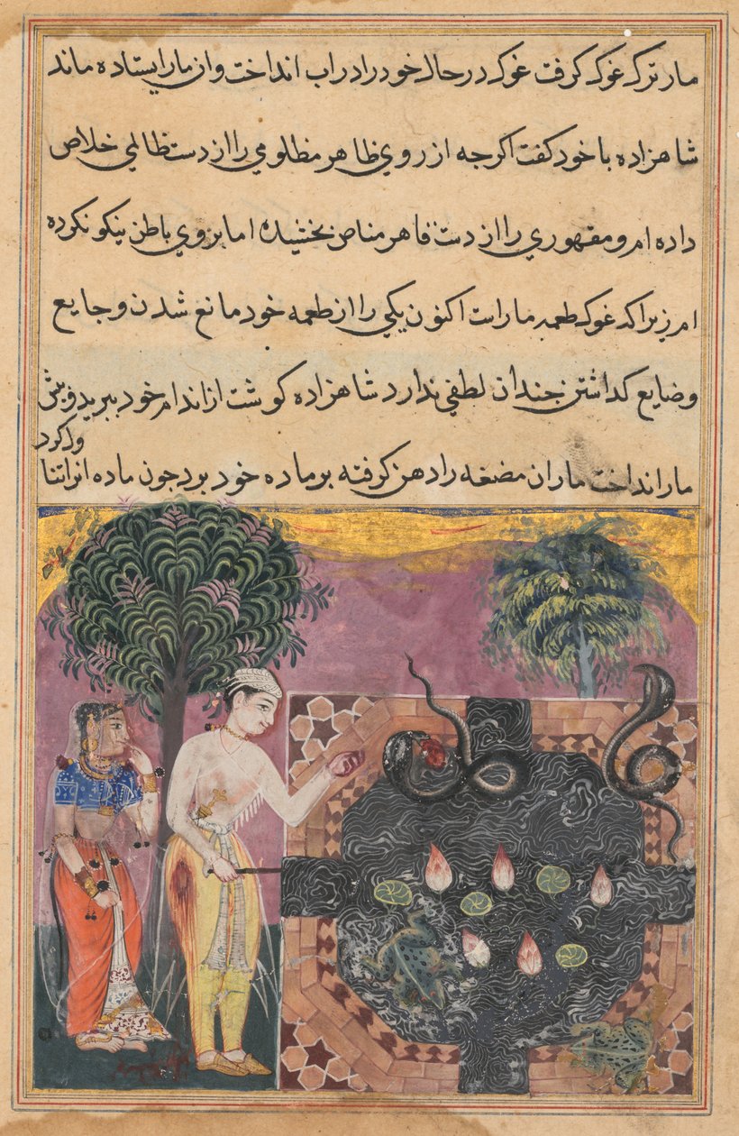 Seite aus Tales of a Parrot Tuti-nama: Achtzehnte Nacht: Der Prinz, ca. 1560 von Unbekannt