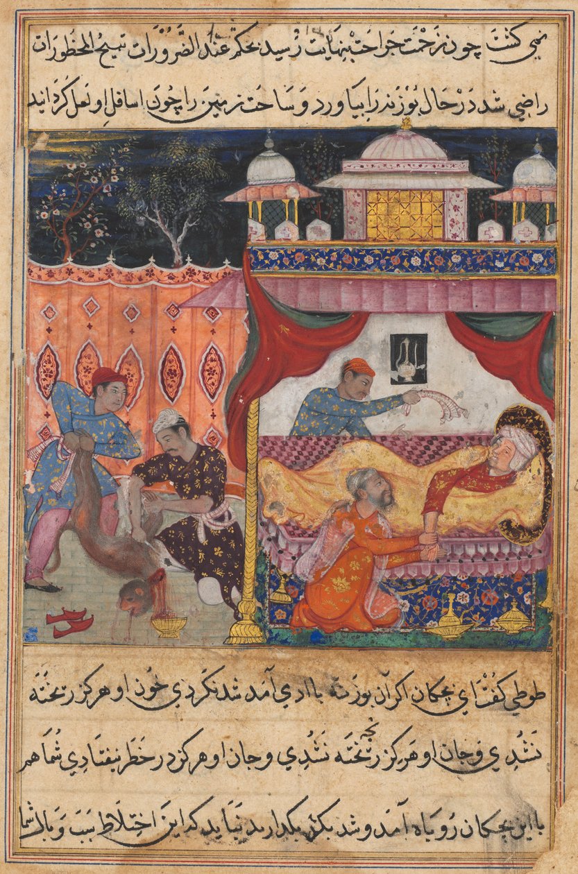 Seite aus Geschichten eines Papageis Tuti-nama: Fünfte Nacht: Der Affe getötet, sein Blut..., ca. 1560 von Unbekannt