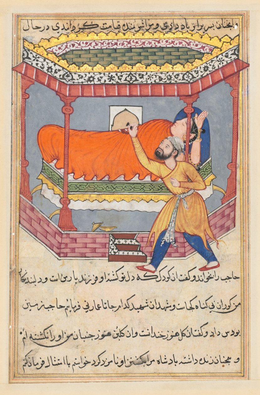 Seite aus Geschichten eines Papageis Tuti-nama: Fünfzigste Nacht: Der König legt den Talisman..., ca. 1560 von Unbekannt