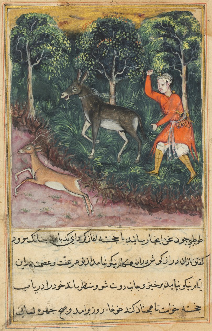 Seite aus Geschichten eines Papageis Tuti-nama: Einundvierzigste Nacht: Der Gärtner ergreift..., ca. 1560 von Unbekannt