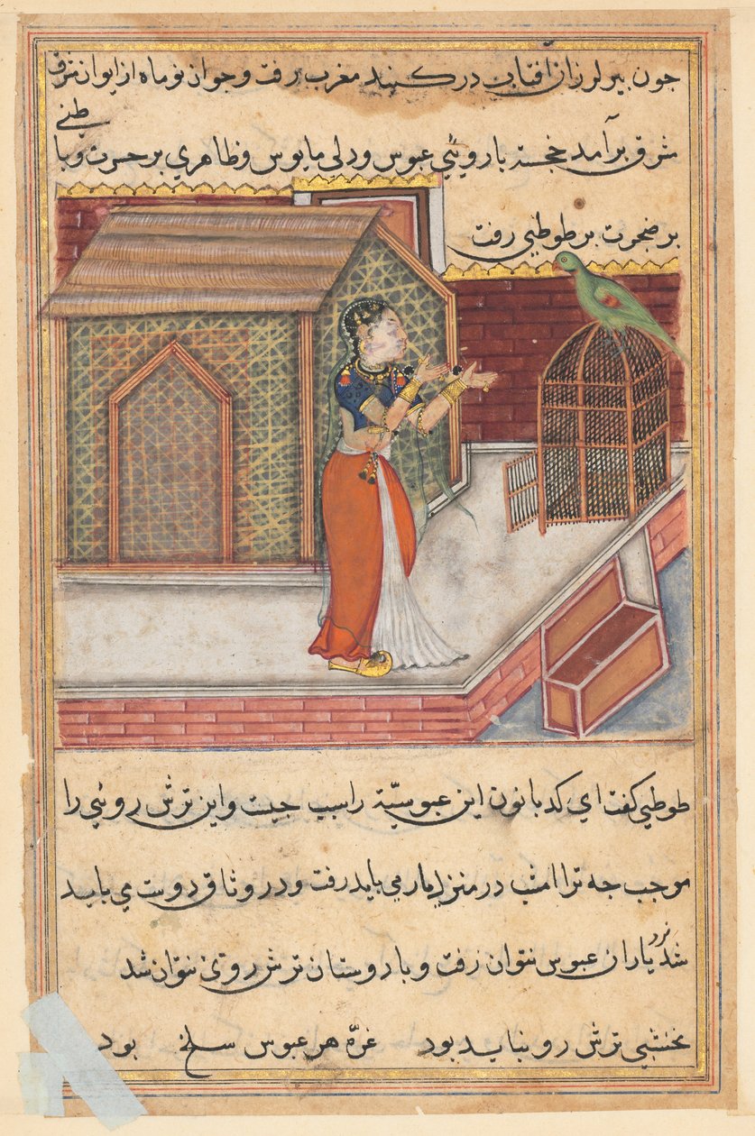 Seite aus Geschichten eines Papageis Tuti-nama: Neunundvierzigste Nacht: Der Papagei spricht Khujasta an..., ca. 1560 von Unbekannt