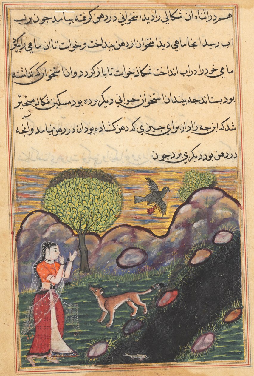 Seite aus Geschichten eines Papageis Tuti-nama: Sechzehnte Nacht: Die Schwiegertochter..., ca. 1560 von Unbekannt