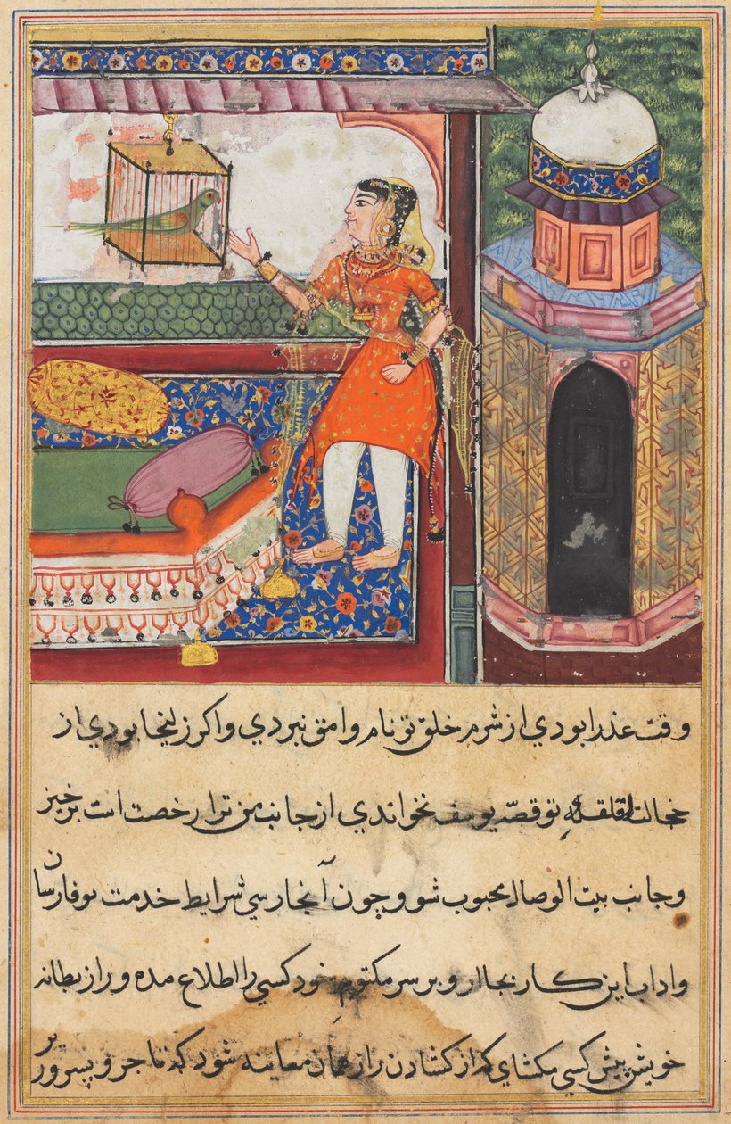 Seite aus Geschichten eines Papageis Tuti-nama: Zehnte Nacht: Der Papagei spricht zu Khujasta..., ca. 1560 von Unbekannt