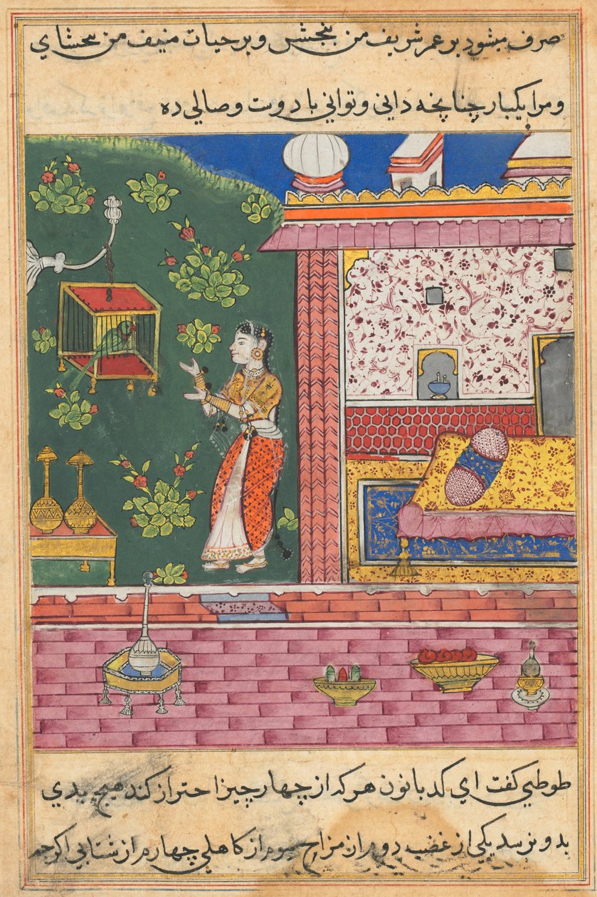 Seite aus Geschichten eines Papageis Tuti-nama: Dreißigste Nacht: Der Papagei spricht zu Khujasta..., ca. 1560 von Unbekannt