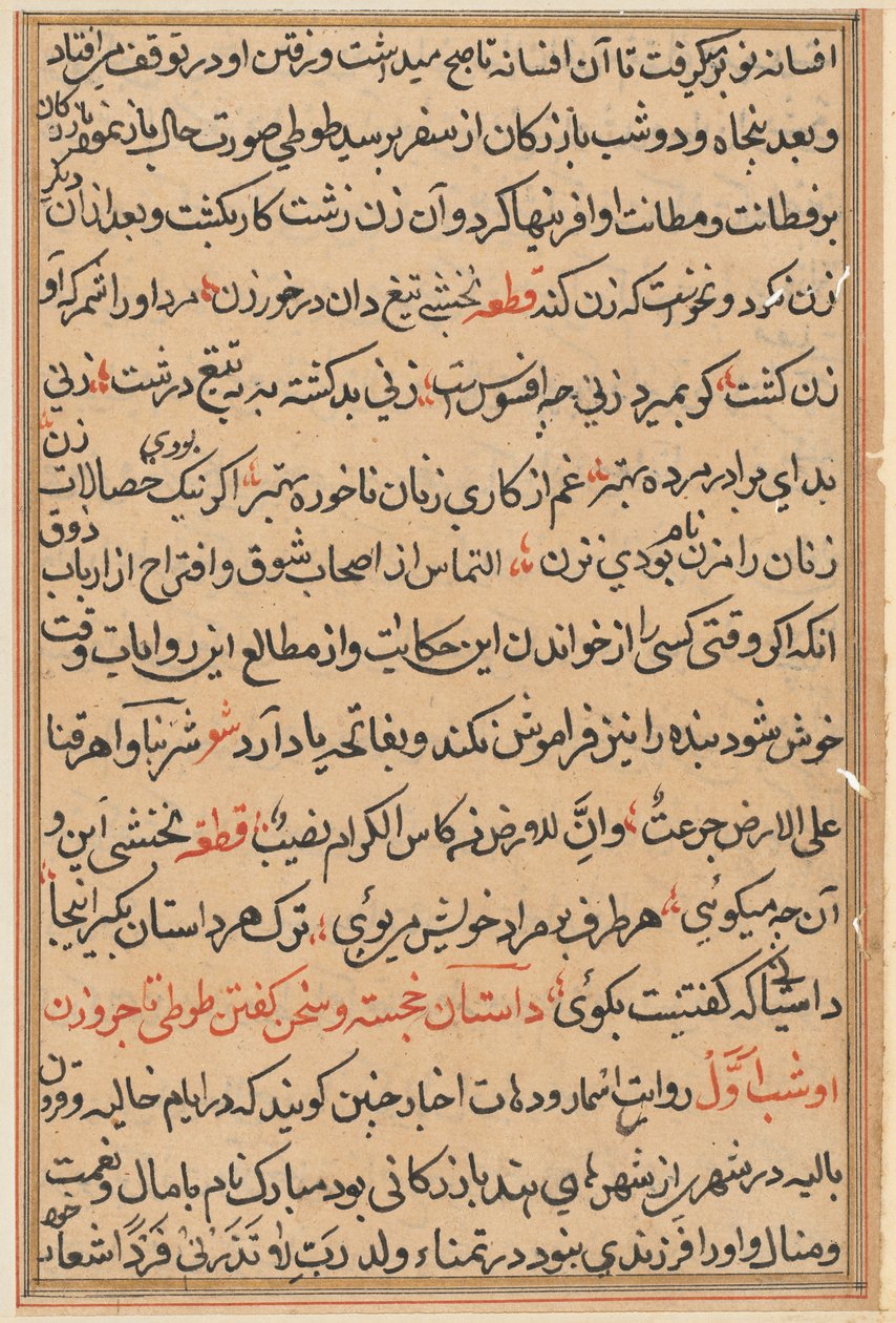 Seite aus den Geschichten eines Papageis Tuti-nama: Textseite, ca. 1560 von Unbekannt
