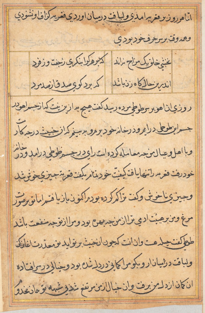 Seite aus Geschichten eines Papageis Tuti-nama: Textseite, ca. 1560 von Unbekannt