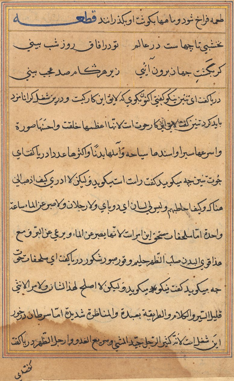 Seite aus den Geschichten eines Papageis Tuti-nama: Textseite, ca. 1560 von Unbekannt
