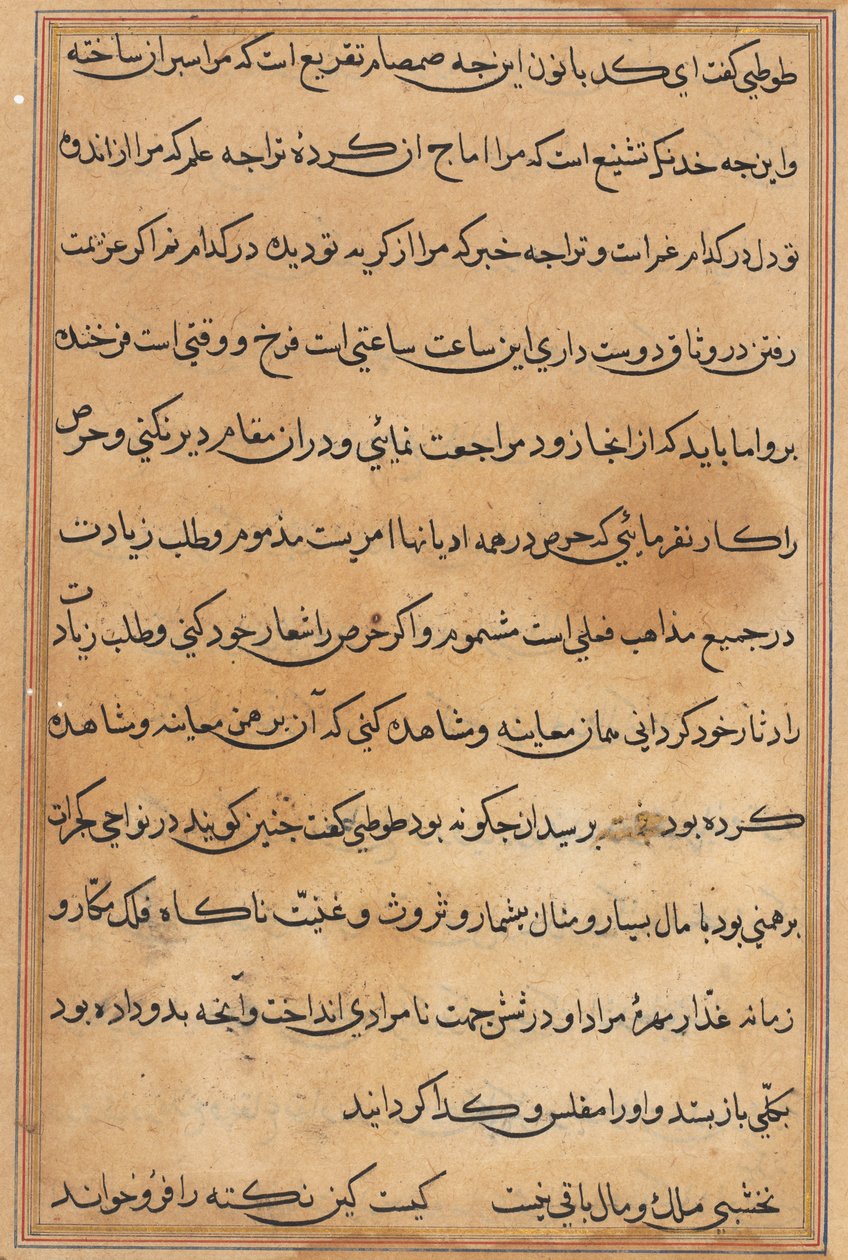 Seite aus den Geschichten eines Papageis Tuti-nama: Textseite, ca. 1560 von Unbekannt