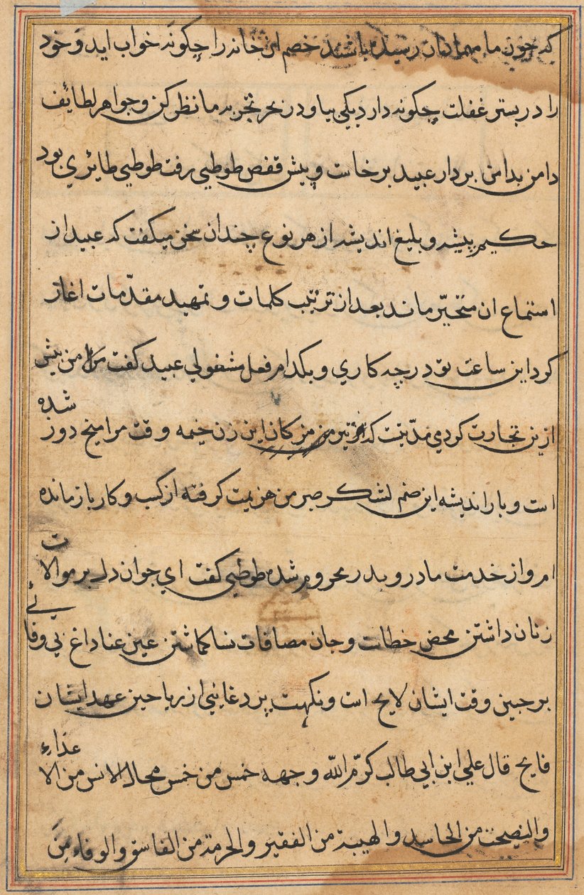 Seite aus Geschichten eines Papageis Tuti-nama: Textseite, ca. 1560 von Unbekannt