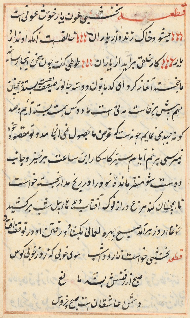 Seite aus den Geschichten eines Papageis Tuti-nama: Textseite, ca. 1560 von Unbekannt