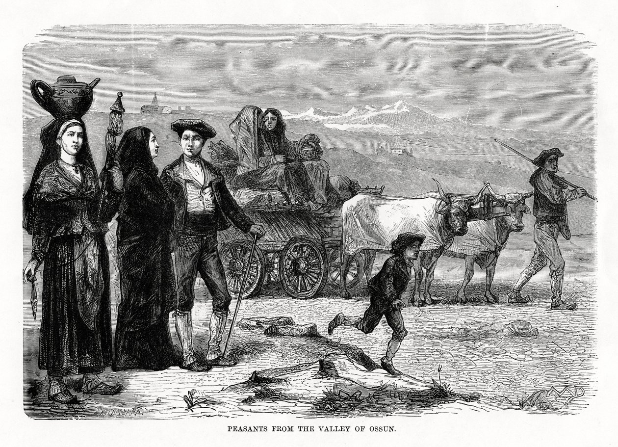 Bauern aus dem Tal von Ossun, Frankreich, 1879 von Unbekannt
