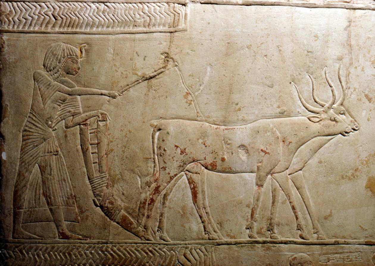 Pflügen von einer ägyptischen Stele, 18. Dynastie, 1332 v. Chr.-1323 v. Chr. von Unbekannt