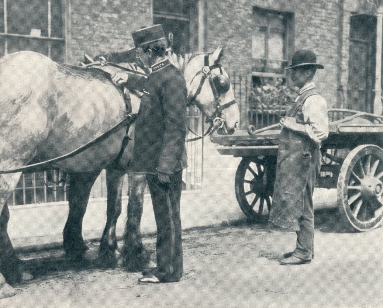 RSPCA-Inspektor untersucht ein Pferd, ca. 1903 von Unbekannt