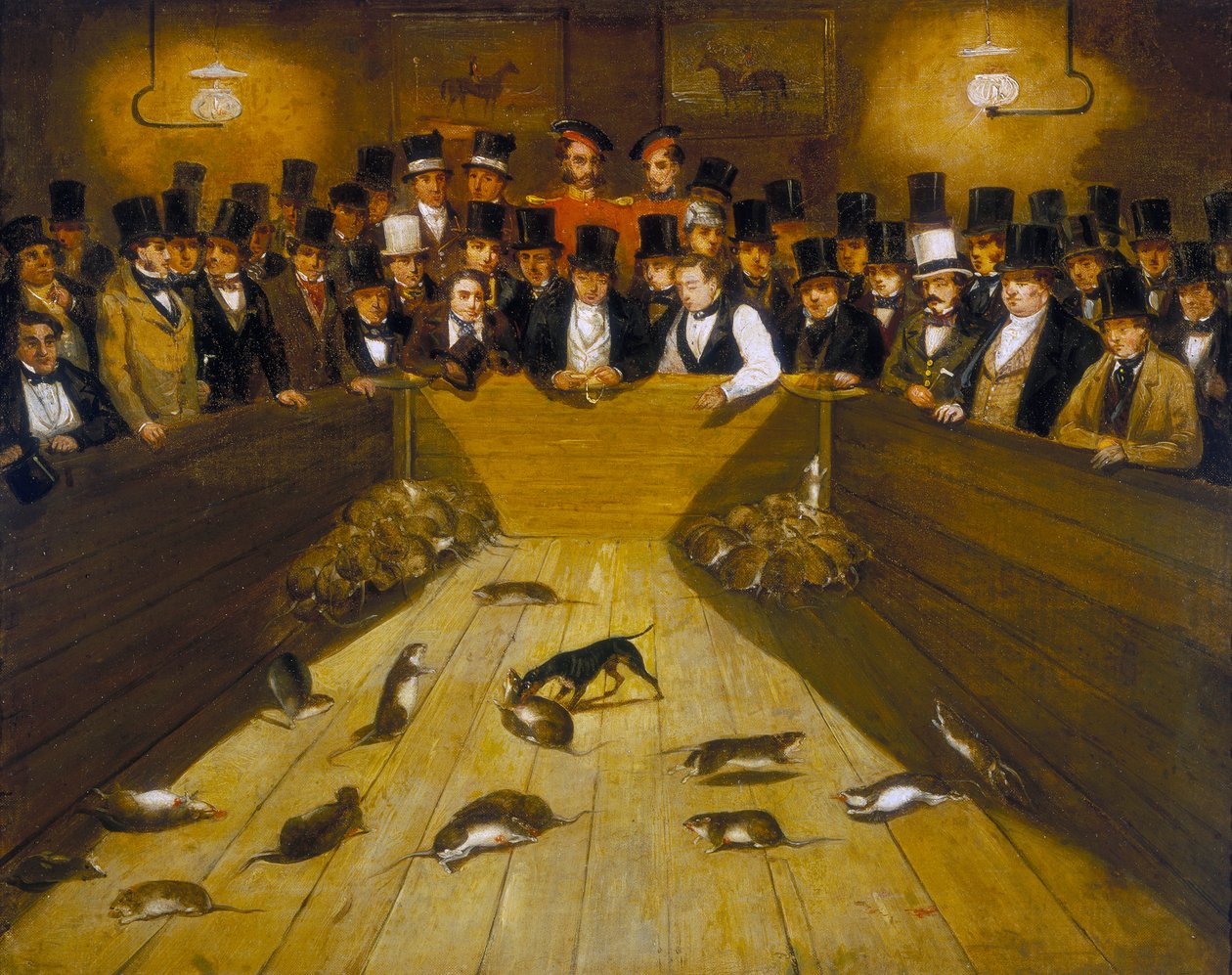 Rattenjagd im Blue Anchor Tavern, Bunhill Row, Finsbury, ca. 1850 von Unbekannt