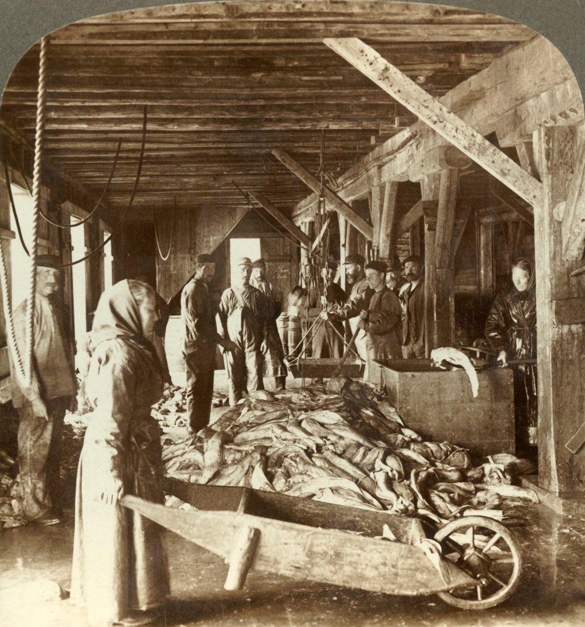 Fischannahme von Seeschiffen und Verpackung für den Export - Fischlager, Ålesund, Norwegen von Unbekannt