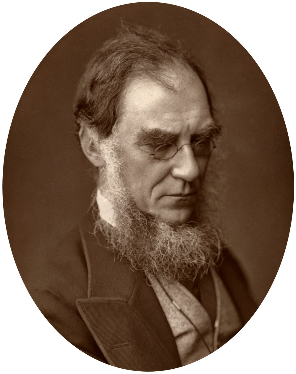 Sir Joseph Dalton Hooker, Direktor der Royal Gardens in Kew von Unbekannt