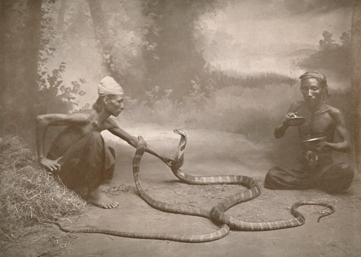 Schlangenbeschwörer mit Hamadryaden Kuy Kobras, 1900 von Unbekannt