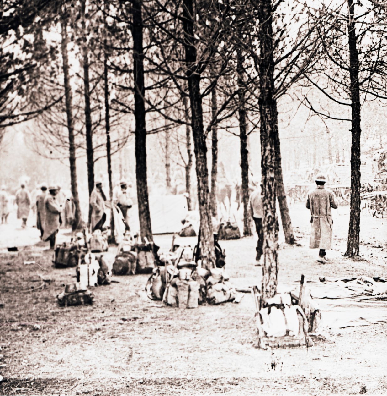 Soldaten und Rucksäcke im Wald von Unbekannt
