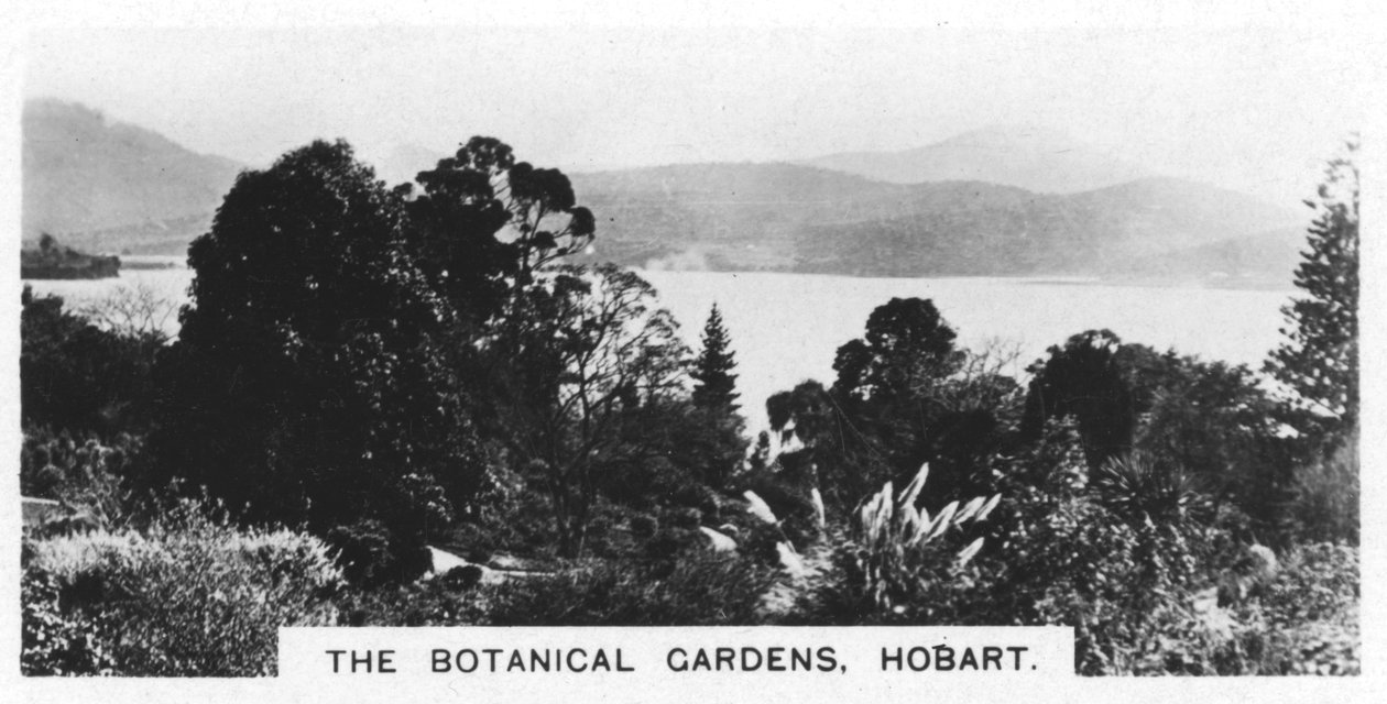 Der Botanische Garten, Hobart, Tasmanien, 1928 von Unbekannt