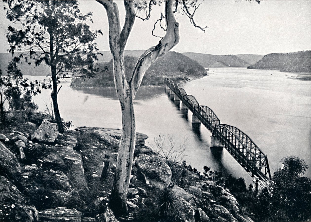 Der Hawkesbury River und die Brücke, um 1900 von Unbekannt