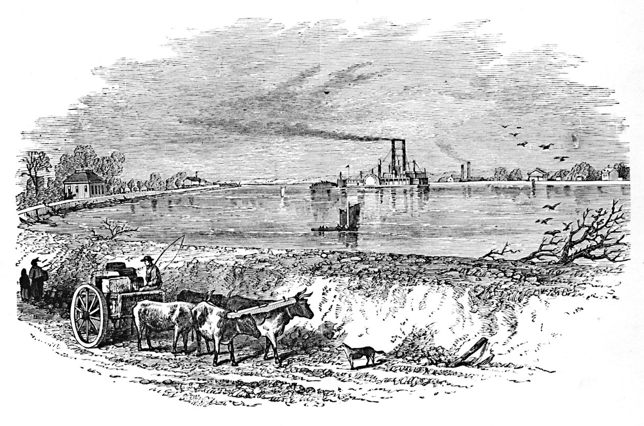 Der Empfang, 1883 von Unbekannt