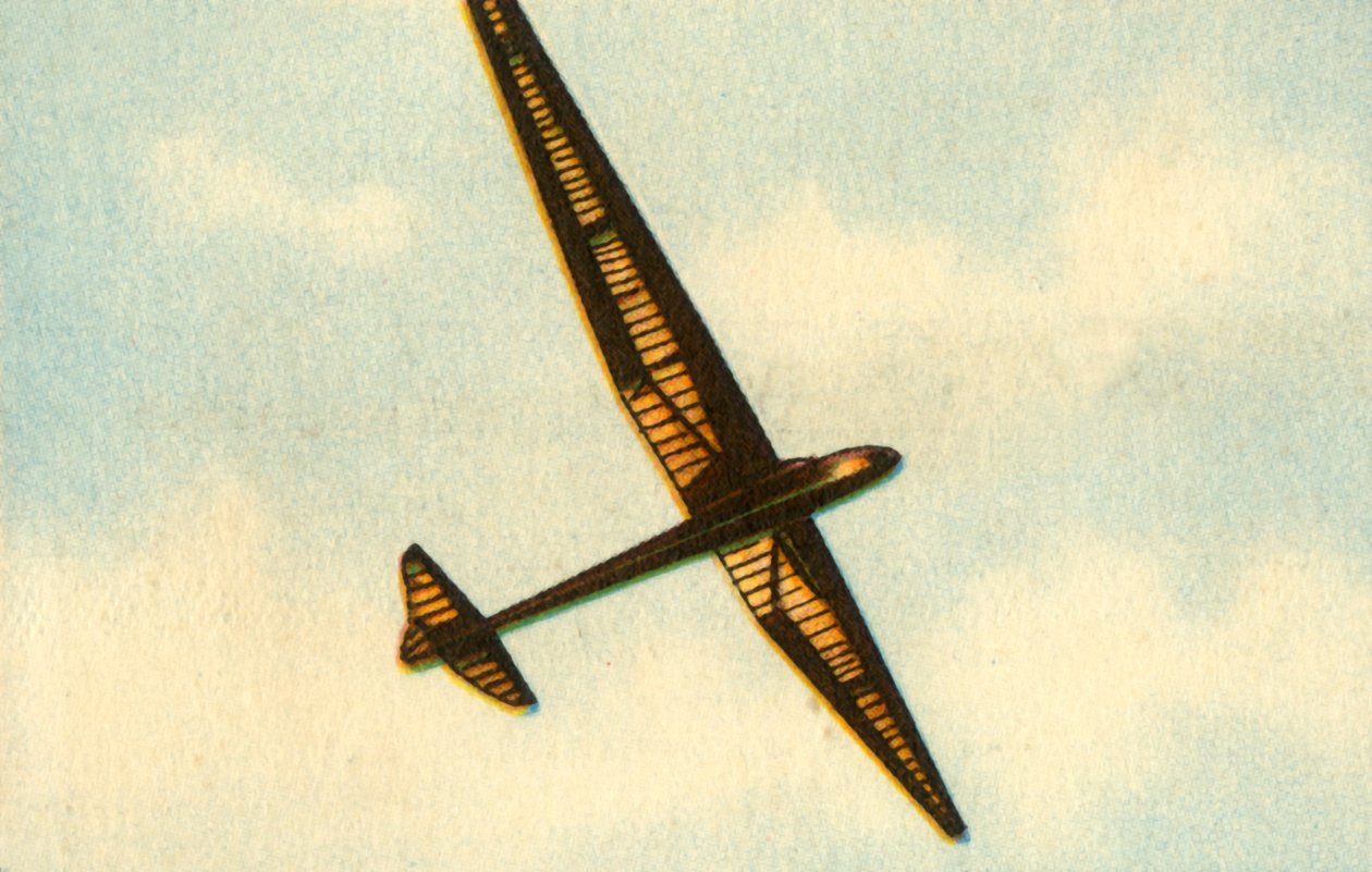 Der Lippisch Wien Gleiter, 1929, 1932 von Unbekannt