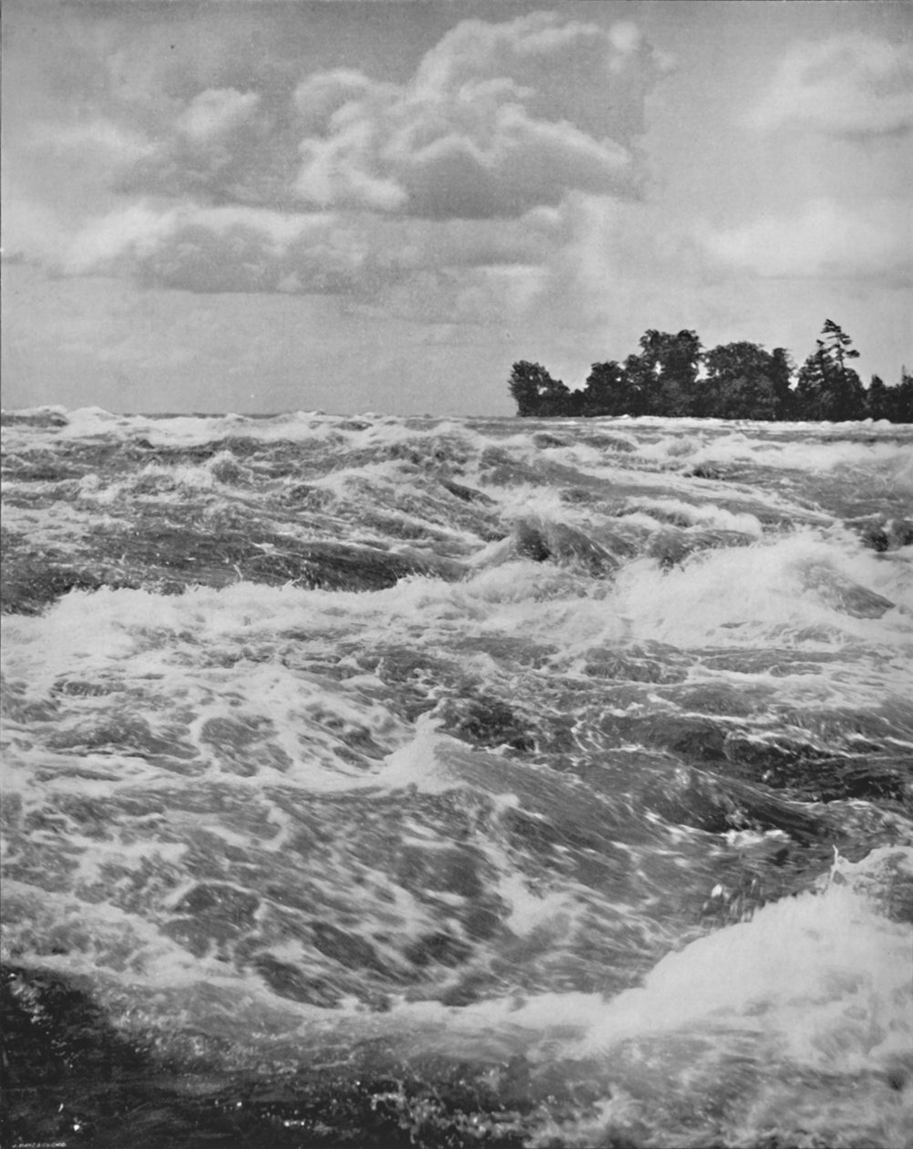 Die Stromschnellen oberhalb des American Falls, 19. Jahrhundert von Unbekannt
