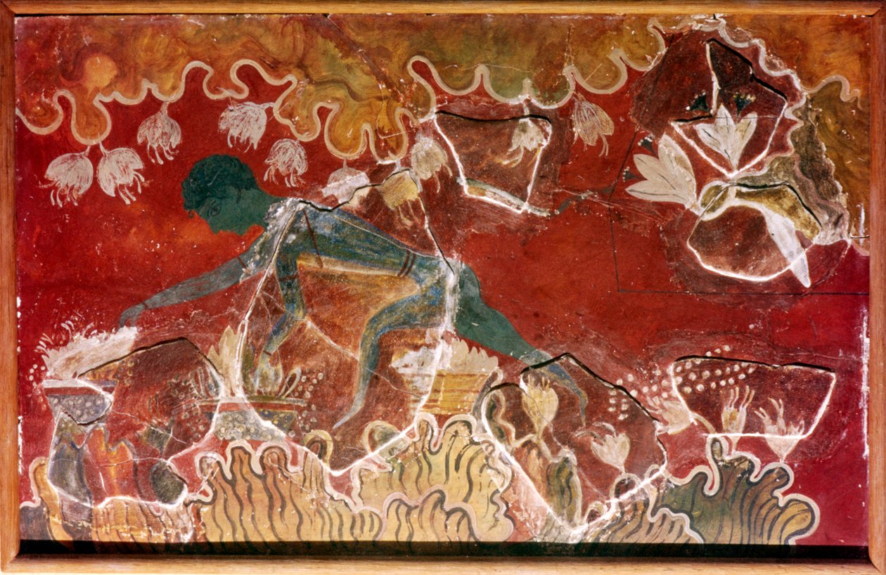 Der Safran-Sammler Fresko aus dem minoischen Königspalast, Knossos, Kreta, ca. 15. Jahrhundert v. Chr. von Unbekannt