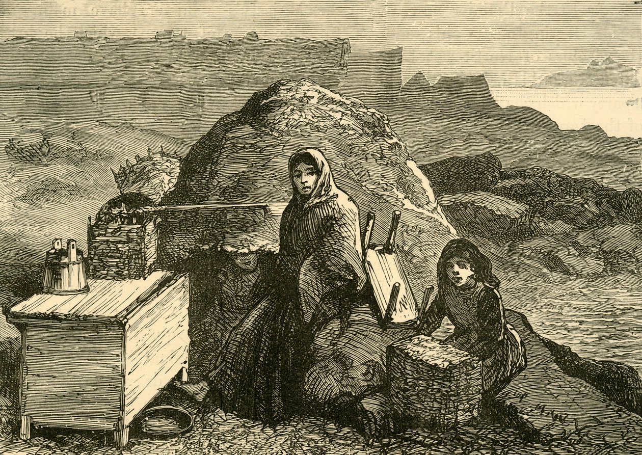 Der Zustand Irlands: Eine vertriebene Familie in der Nähe von Errismore, ca. 1880 von Unbekannt