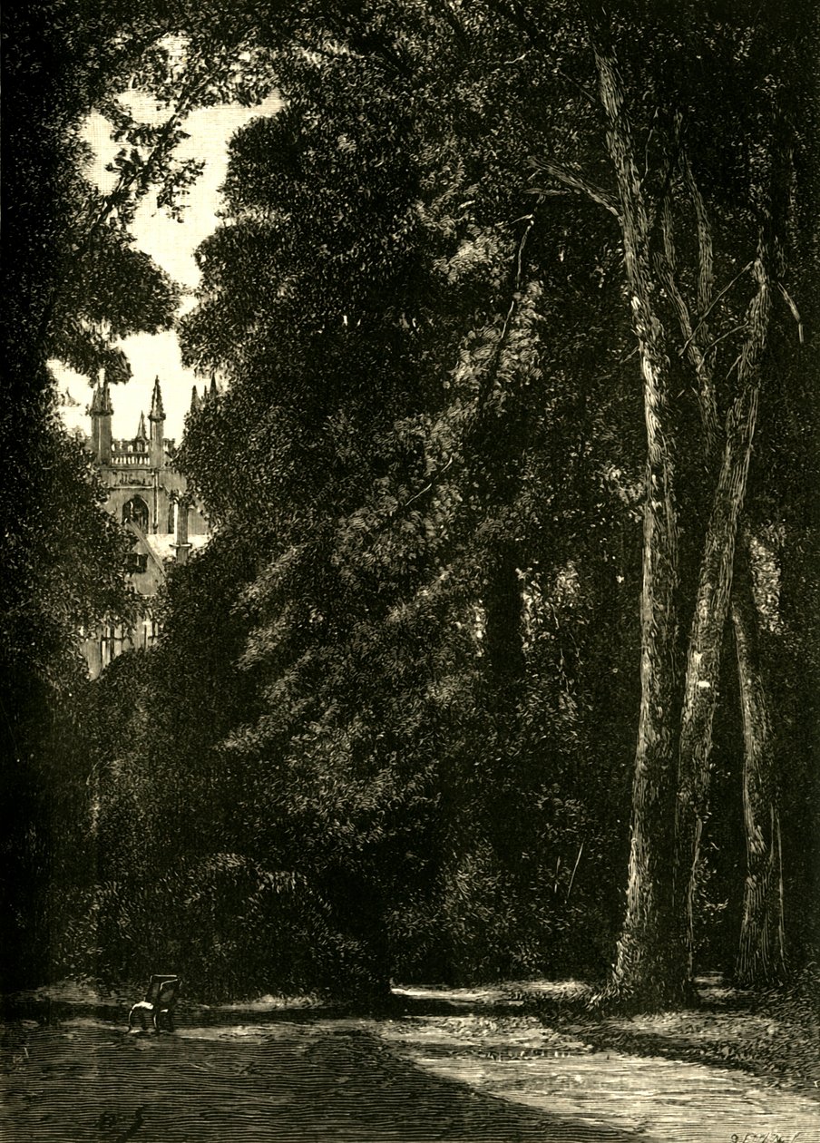 Der Turm von Merton, vom Garten aus, 1898 von Unbekannt