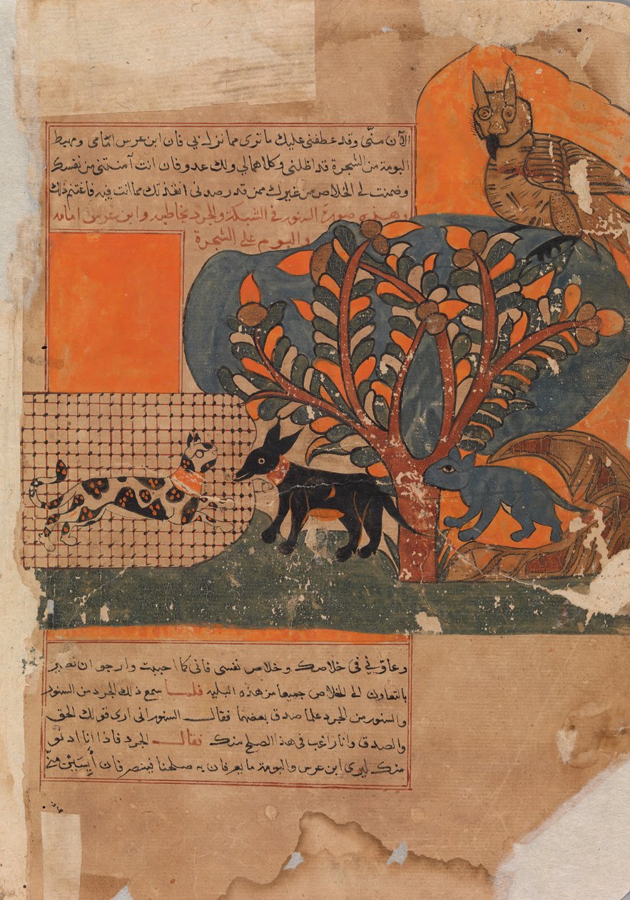 Die gefangene Katze und die verängstigte Maus, Folio aus einem Kalila wa Dimna, 18. Jahrhundert von Unbekannt
