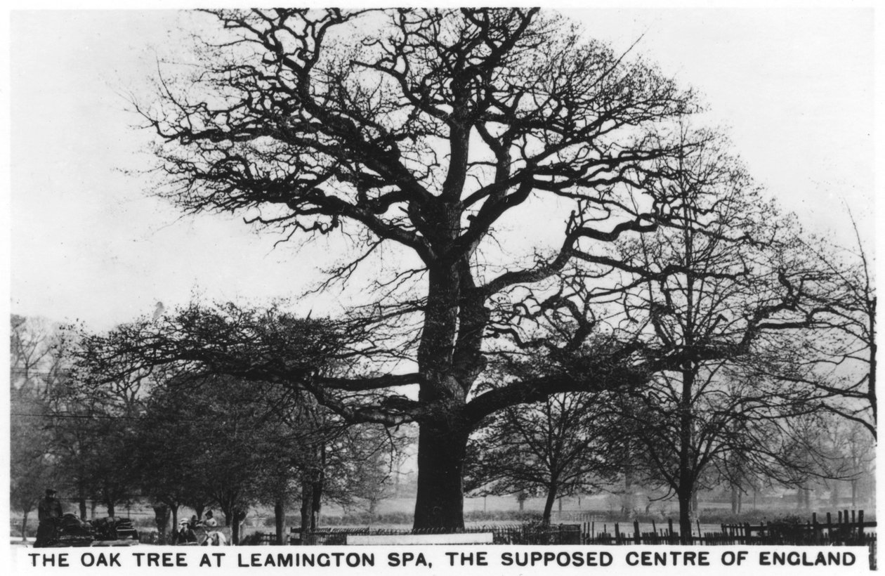 Die Eiche in Leamington Spa, das vermeintliche Zentrum Englands, 1936 von Unbekannt