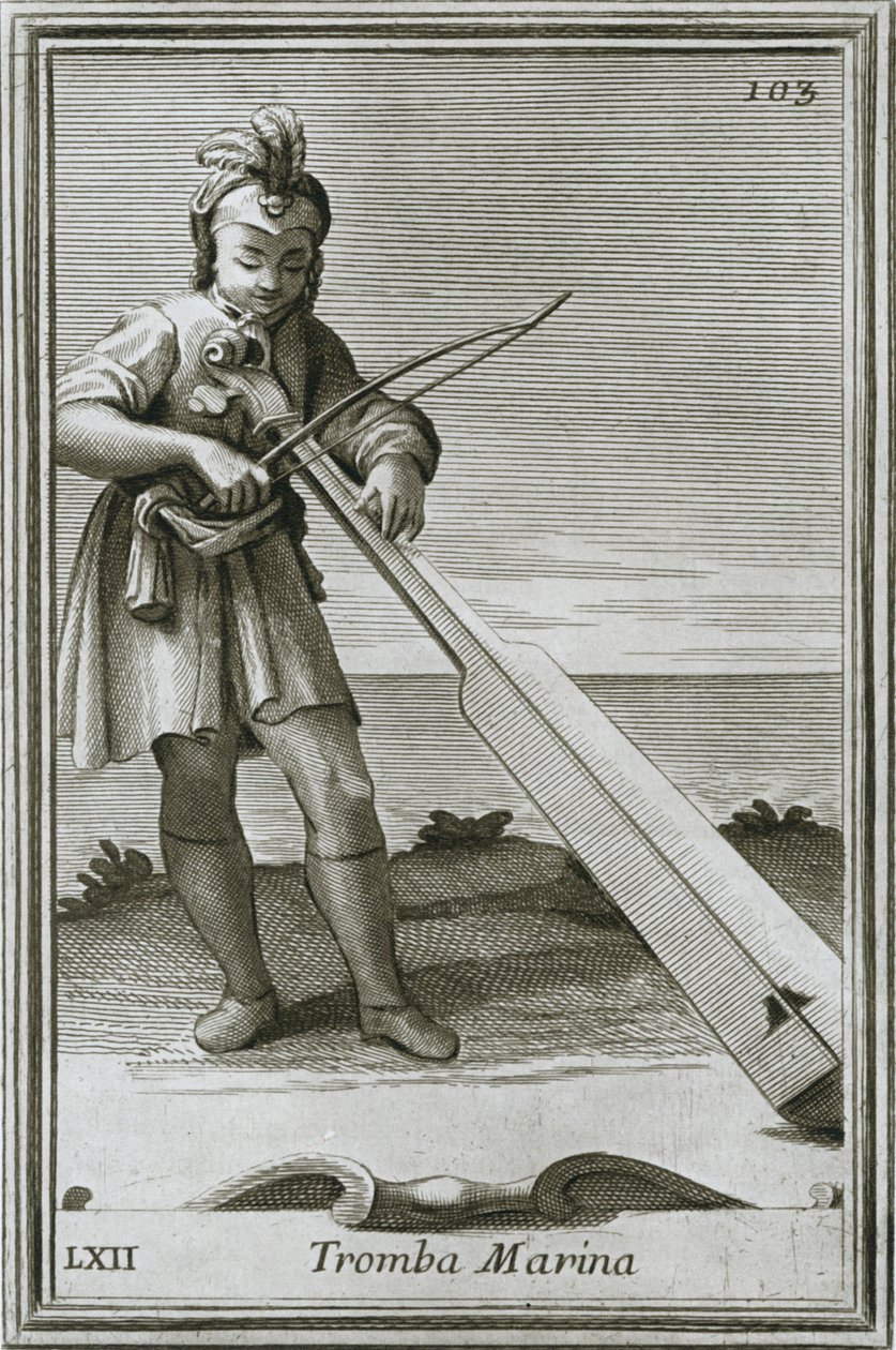 Trumscheit Tromba Marina, Gravur aus F. Bonannis Buch Cabinetto Armonico, Rom, 1722, 1948 von Unbekannt