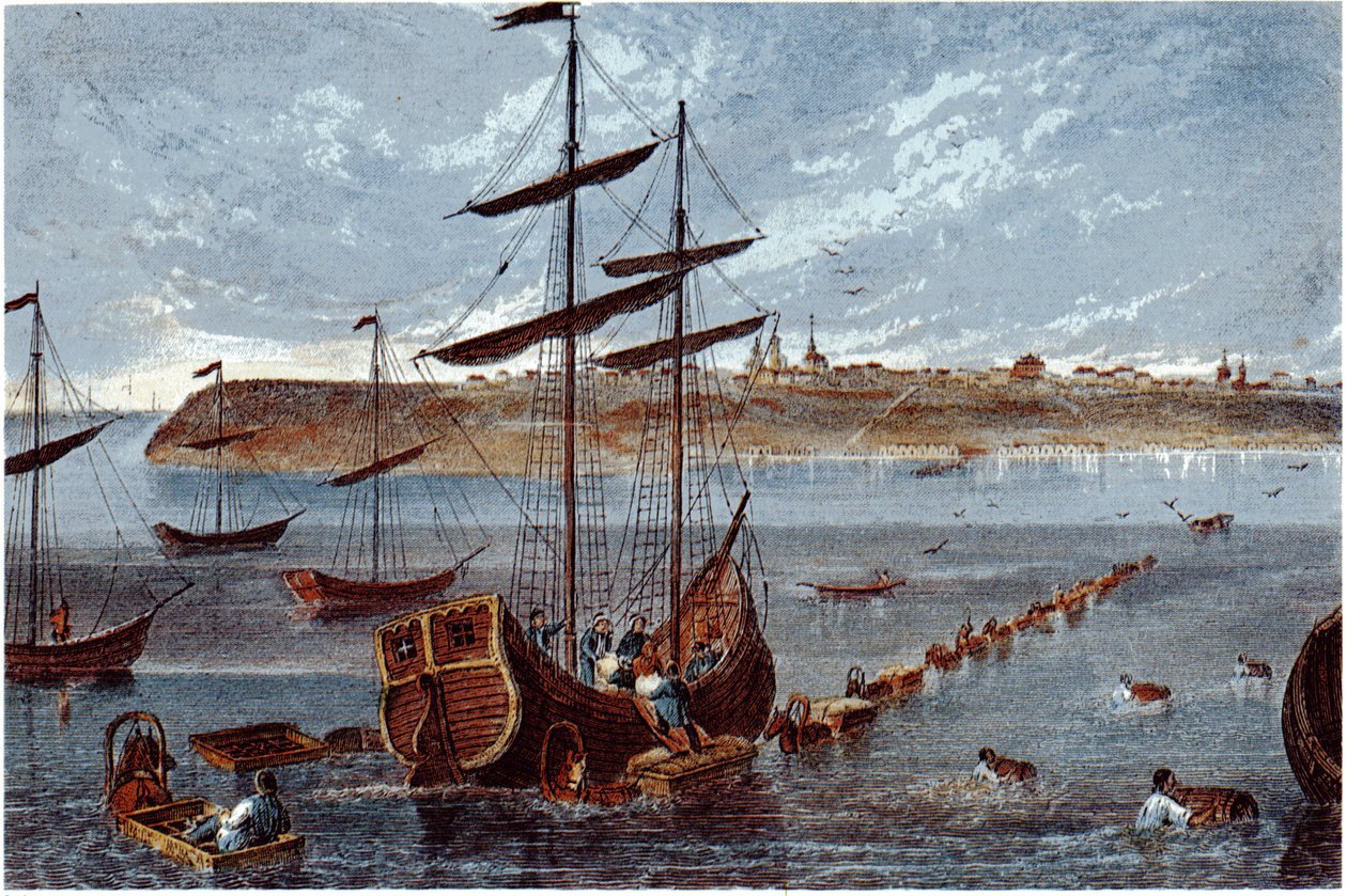 Ansicht von Taganrog, ca. 1840 von Unbekannt