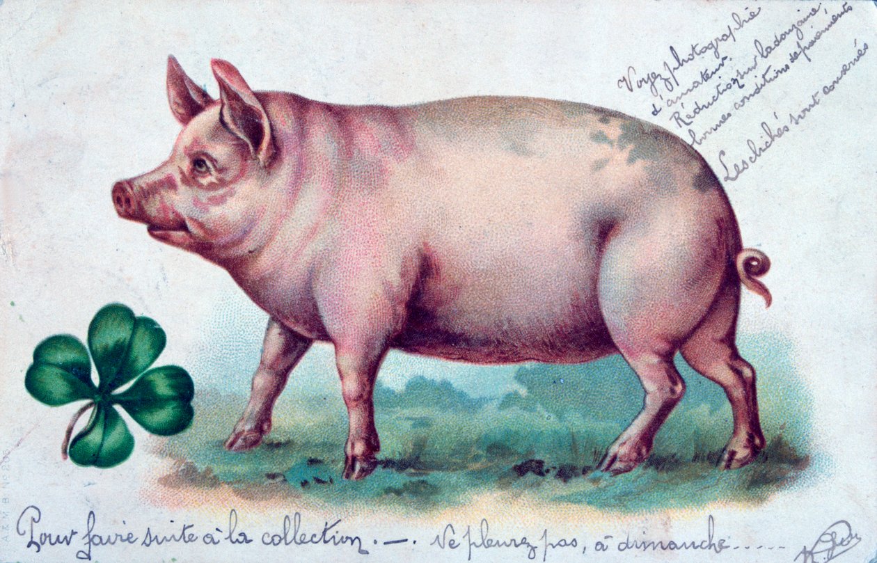 Vintage französische Postkarte, um 1900 von Unbekannt