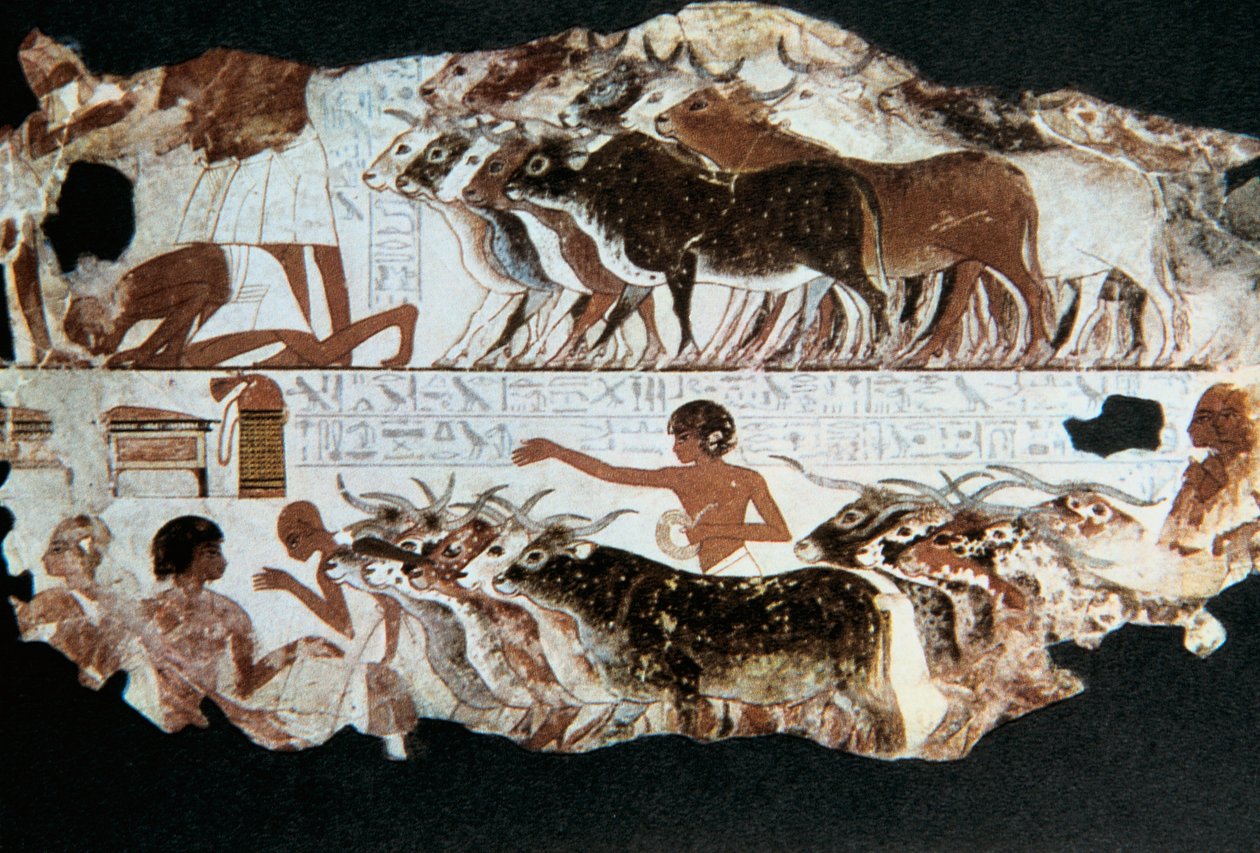 Wandmalerei aus dem Grab von Nebarunun, Theben, Ägypten, ca. 1350 v. Chr. von Unbekannt
