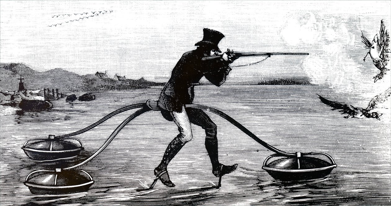 Wildvögel auf einem Wasserfahrrad jagen von Unbekannt