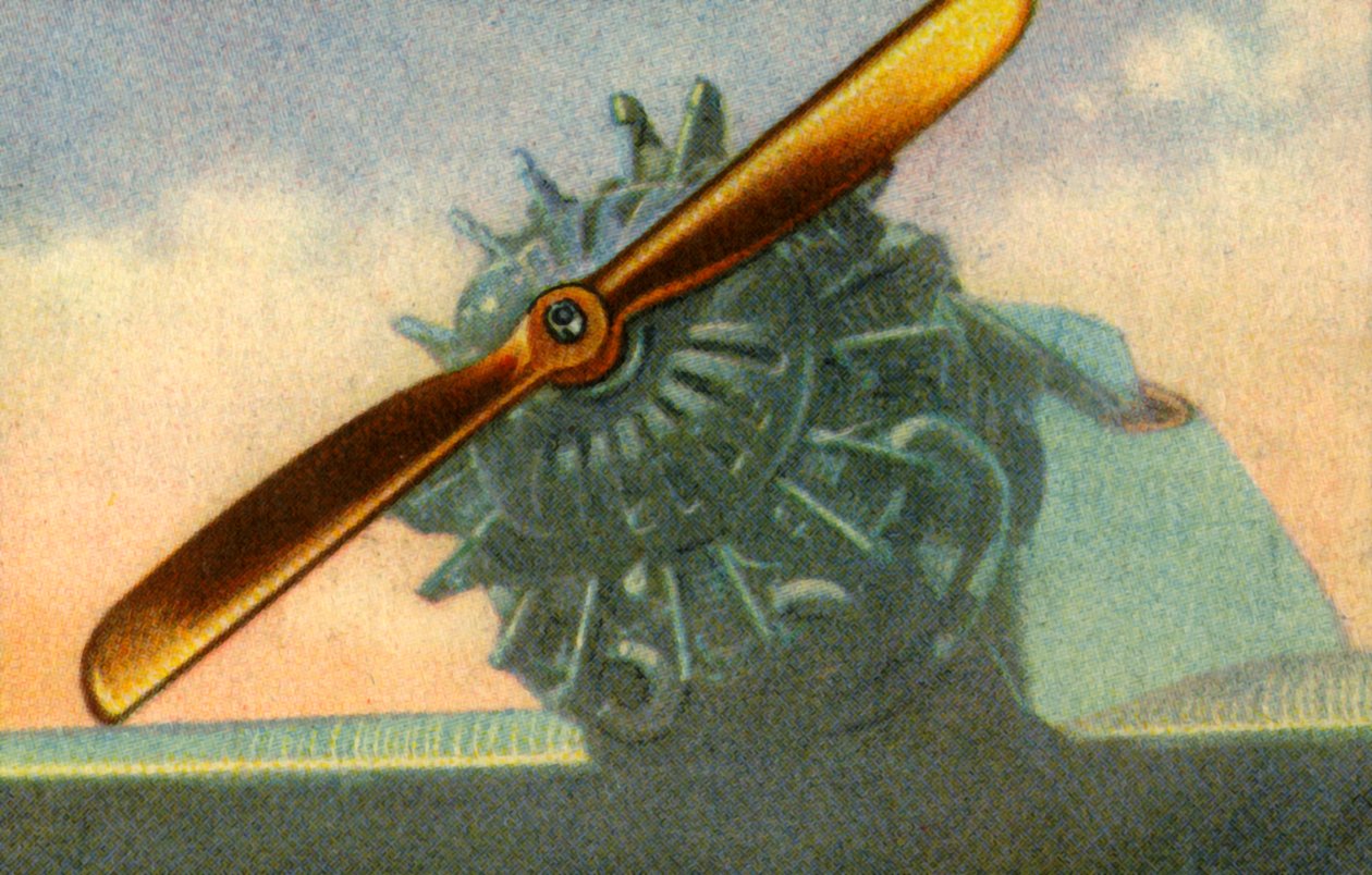 Holzflugzeugpropeller hergestellt von der Firma Schwarz Propeller-Werk, 1932 von Unbekannt