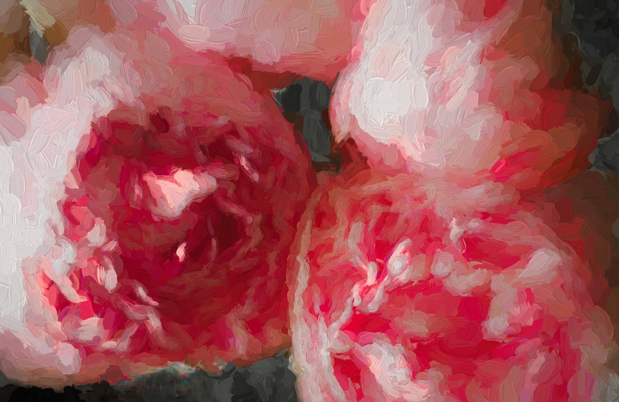 Rosa Pfingstrosen von Unbekannt Unbekannt