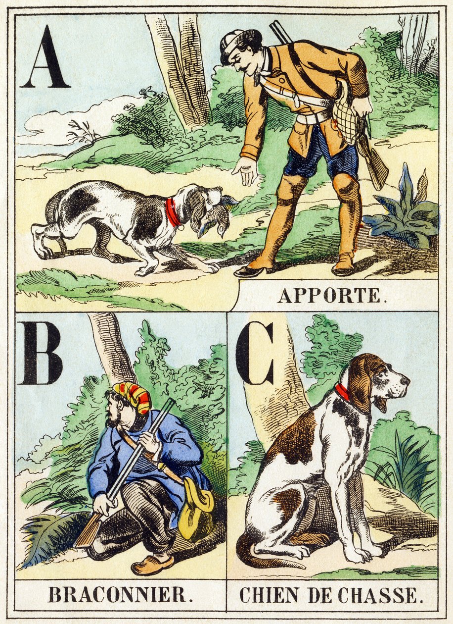 A B C: Apportieren, Wilderer, Jagdhund - Das Jagd-Alphabet, ca. 1890 von Unbekannt