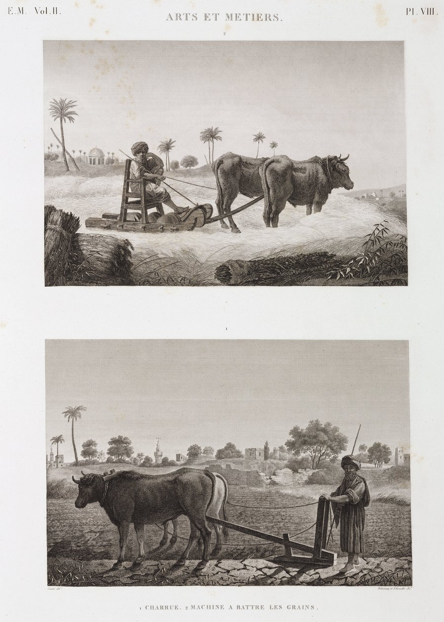 Ackerbau, Pflügen, Dreschmaschine und Pflug, Ägypten, ca. 1798 von Unbekannt