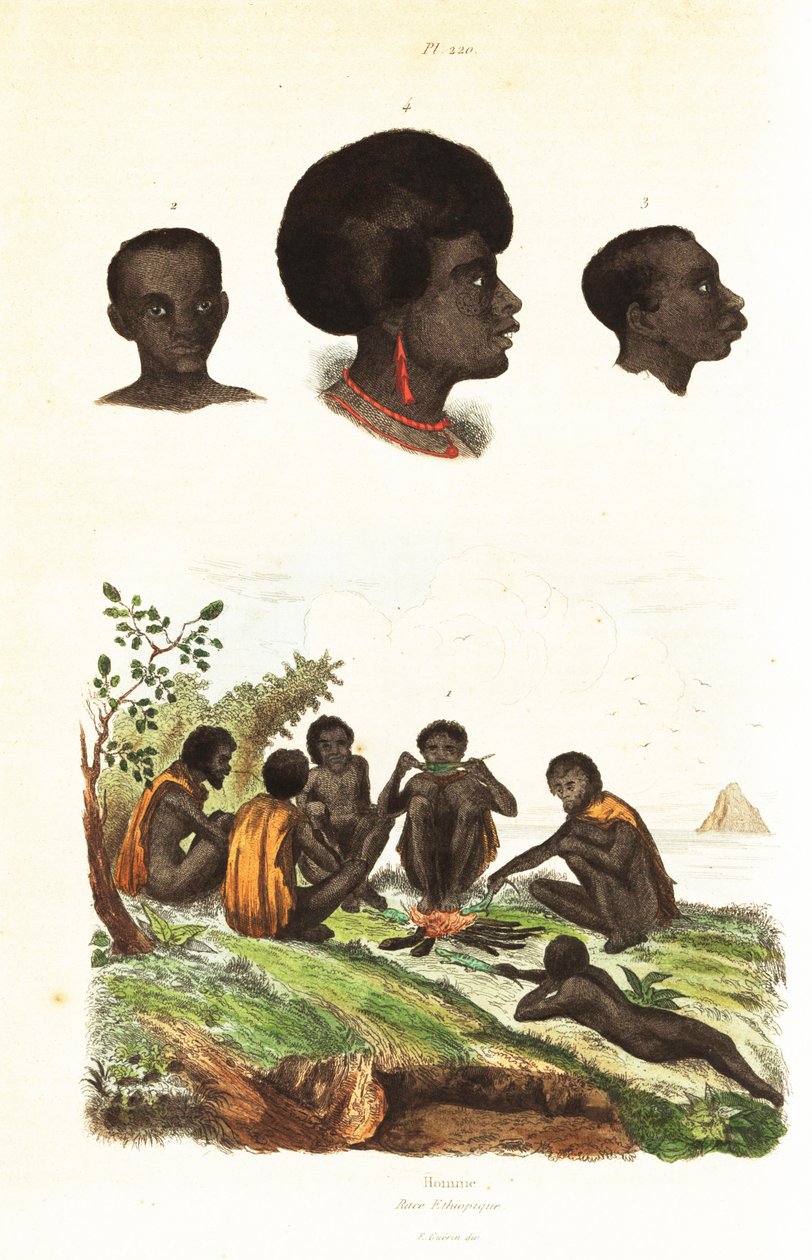 Australische Aborigines und Köpfe von Eingeborenen von Waigeo, West-Papua von Unbekannter Künstler