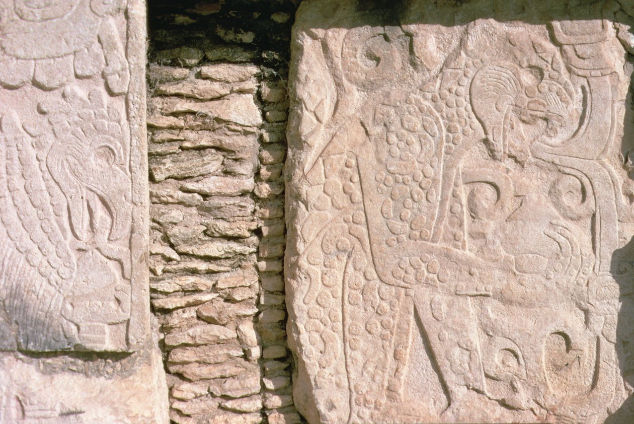 Basrelief, das Jaguare zeigt, die menschliche Herzen aus Opfern herausziehen (Stein) von William M. Timlin