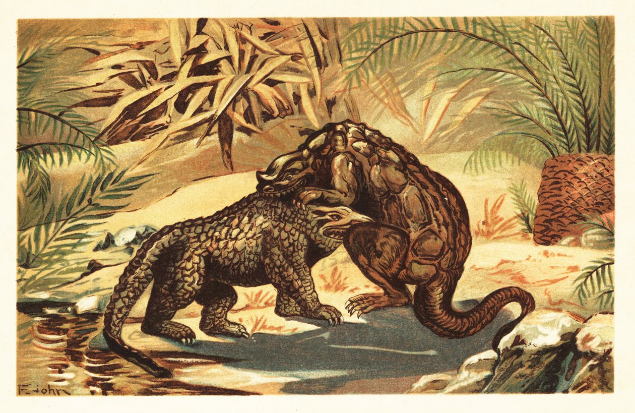 Kampf zwischen einem Megalosaurus bucklandii und Iguanodon bernissar. 1908 (Lithografie) von Unbekannter Künstler