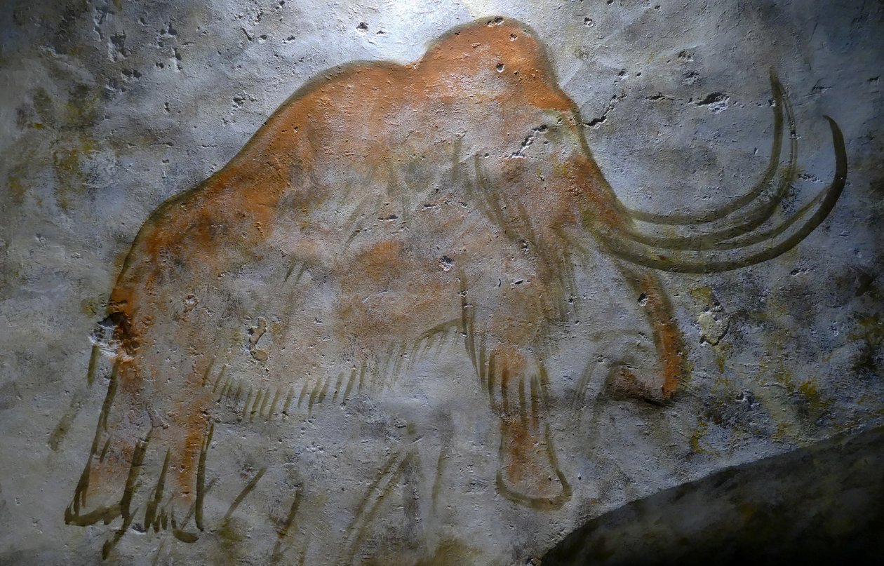 Höhlenmalereien in der Höhle von Altamira (Foto) von Leopold Blonder