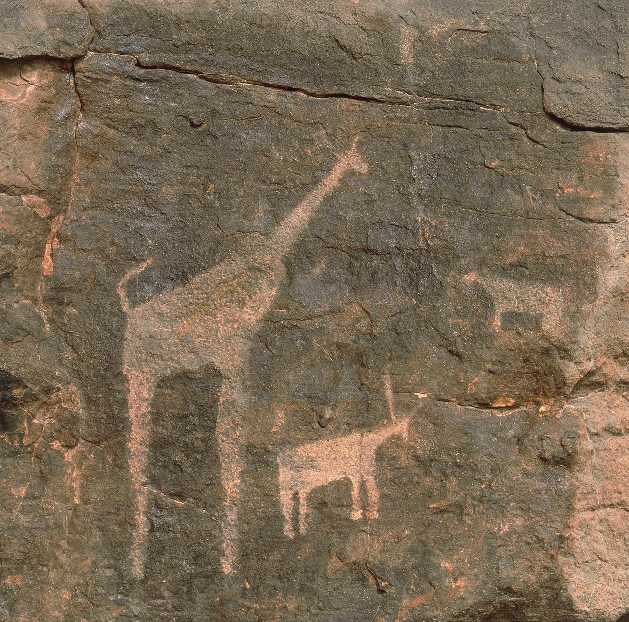 Nahaufnahme prähistorischer Malereien, Tenere-Wüste, Niger von Benjamin Baud