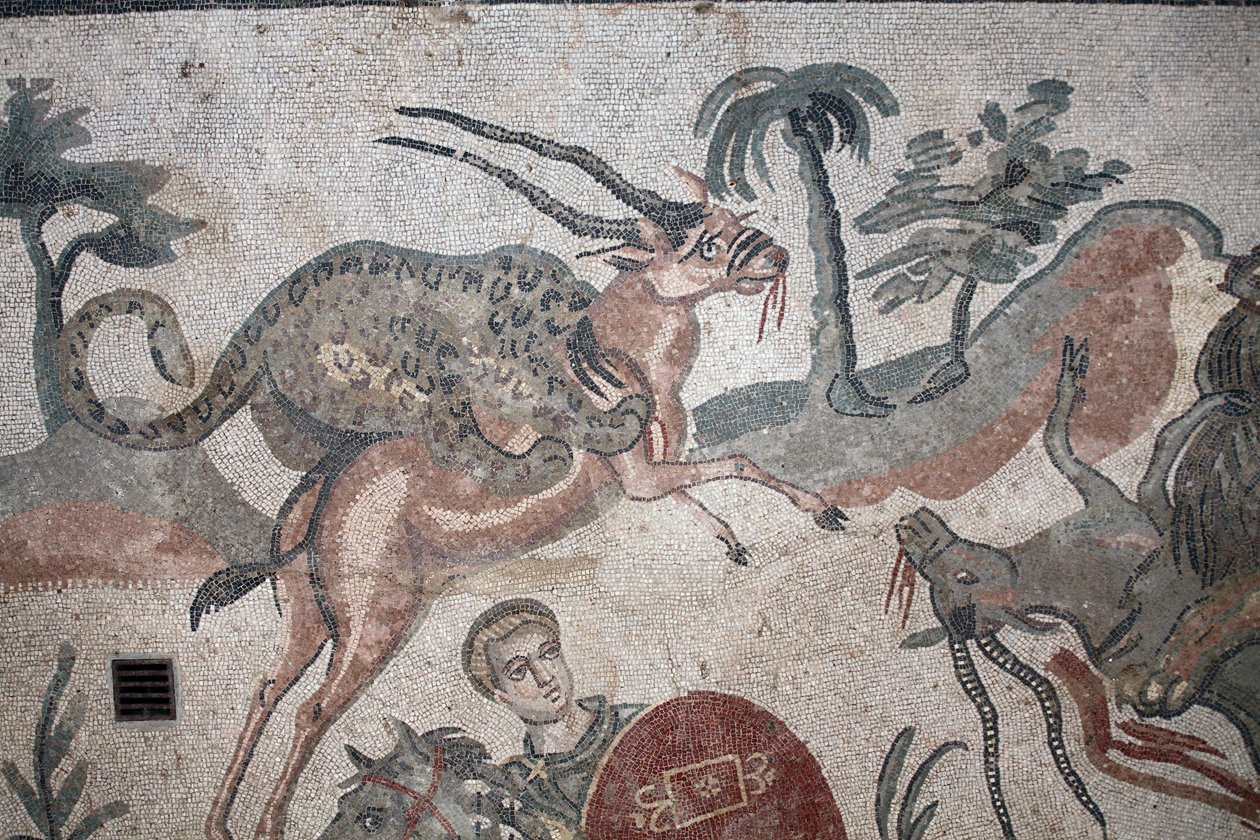 Detail des großen Jagdmosaiks. Ein Leopard greift eine Gazelle an. 3. - 4. Jahrhundert. Römische Villa del Casale, Sizilien. UNESCO-Weltkulturerbe. von William M. Timlin